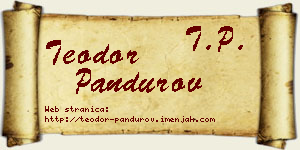 Teodor Pandurov vizit kartica